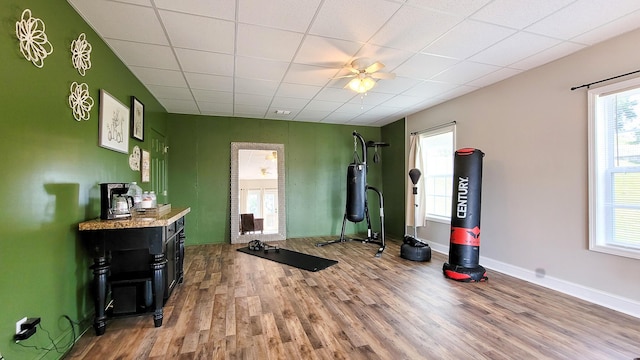 754 Countryside Cir, Mount Vernon, KY 40456 - exercise room with wood finished floors, plenty of natural light, and baseboards