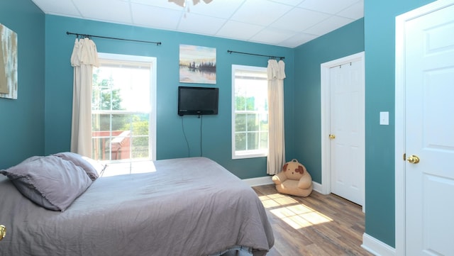 754 Countryside Cir, Mount Vernon, KY 40456 - bedroom featuring wood finished floors, multiple windows, baseboards, and a paneled ceiling