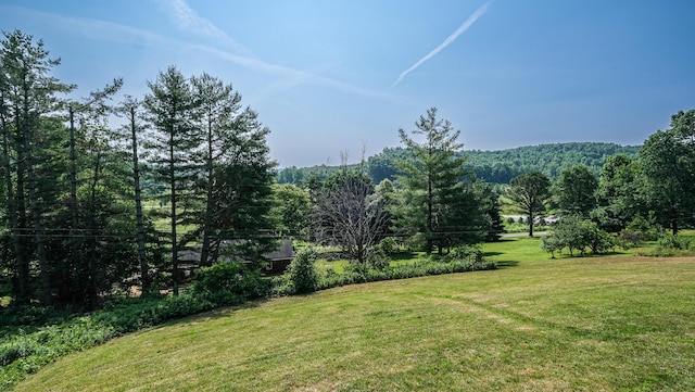754 Countryside Cir, Mount Vernon, KY 40456 - view of grassy yard with a forest view