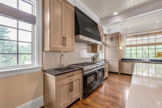 1617 Harmony Hall Ln, Lexington, KY 40502 - kitchen with wall chimney exhaust hood, double oven range, a sink, light wood-type flooring, and crown molding
