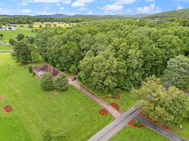 137 Indian Cave Subdivision, Monticello, KY 42633 - view of rural area featuring a heavily wooded area