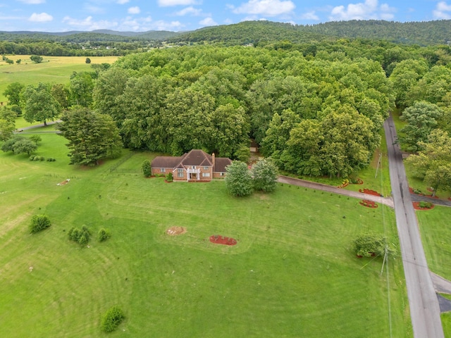 137 Indian Cave Subdivision, Monticello, KY 42633 - drone / aerial view of a forest and mountains