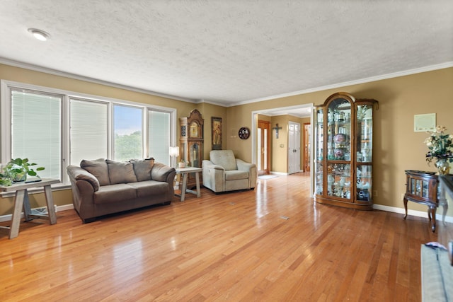 137 Indian Cave Subdivision, Monticello, KY 42633 - living area featuring light wood-type flooring, baseboards, a textured ceiling, and ornamental molding