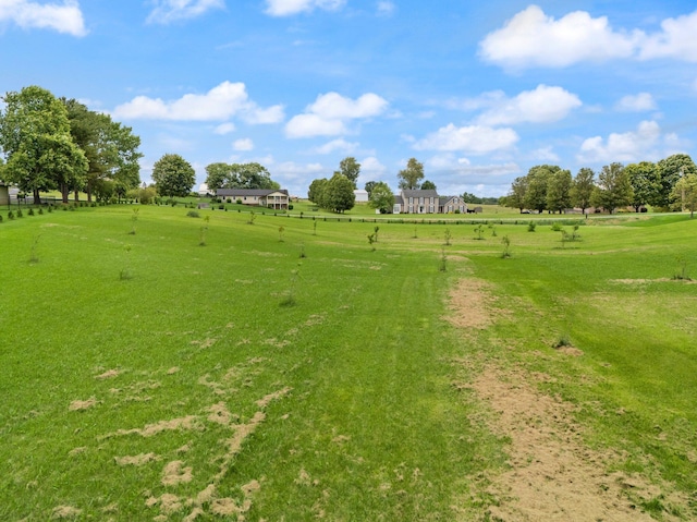 137 Indian Cave Subdivision, Monticello, KY 42633 - view of yard