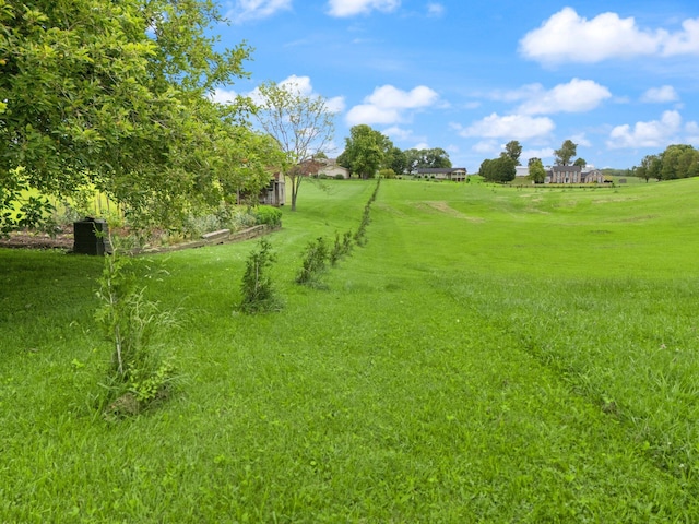 137 Indian Cave Subdivision, Monticello, KY 42633 - view of green lawn with a view of rural / pastoral area