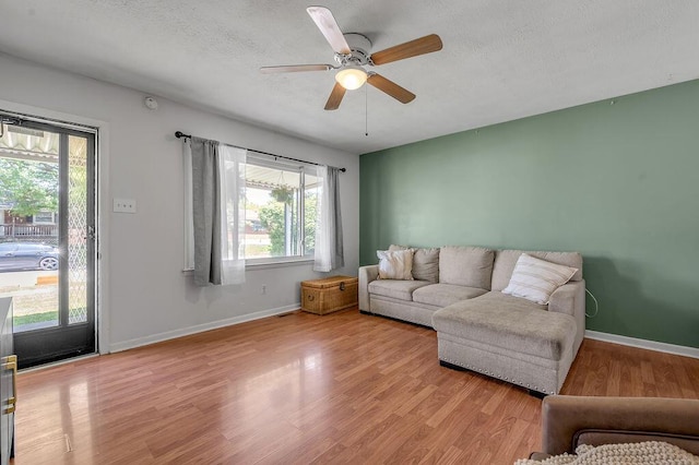 1976 Greenleaf Dr, Lexington, KY 40505 - living room with wood finished floors, healthy amount of natural light, ceiling fan, baseboards, and a textured ceiling