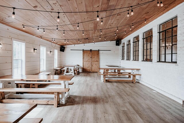 241 Old Glory Rd, Monticello, KY 42633 - dining room with track lighting, wood finished floors, plenty of natural light, and wooden walls
