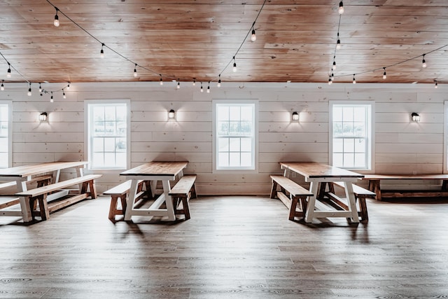 241 Old Glory Rd, Monticello, KY 42633 - dining room with track lighting, wood finished floors, plenty of natural light, and wooden walls