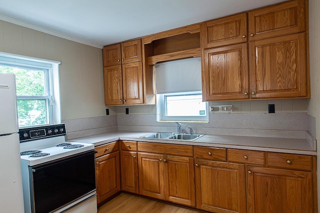135 Rolling Acres Dr, Frankfort, KY 40601 - kitchen featuring white appliances, a sink, crown molding, brown cabinets, and plenty of natural light