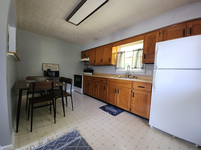 50 Ford Dr, Mount Vernon, KY 40456 - kitchen with freestanding refrigerator, electric stove, a sink, light countertops, and under cabinet range hood