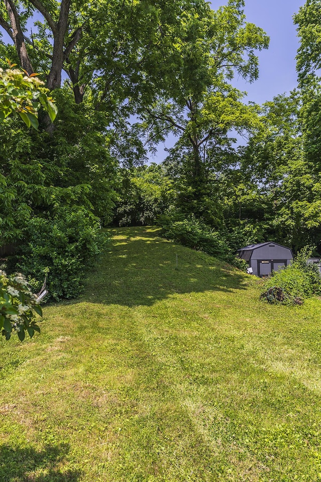 411 Ely Aly, Georgetown, KY 40324