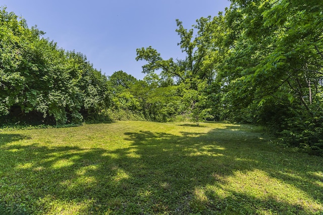 411 Ely Aly, Georgetown, KY 40324