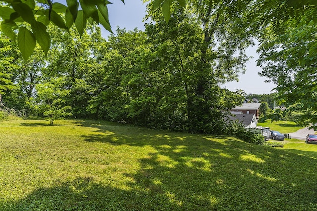 411 Ely Aly, Georgetown, KY 40324