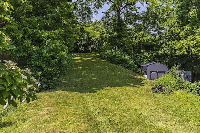 411 Ely Aly, Georgetown, KY 40324