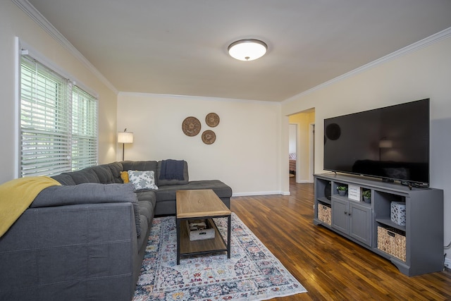 3506 Newport Dr, Lexington, KY 40517 - living area with crown molding, dark wood-type flooring, and baseboards