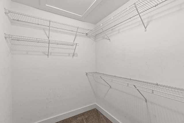 100 Goodrich Ave, Lexington, KY 40503 - spacious closet featuring dark carpet