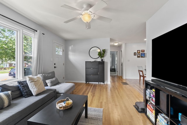 103 Cypress St, Nicholasville, KY 40356 - living room with ceiling fan, light wood-type flooring, and baseboards