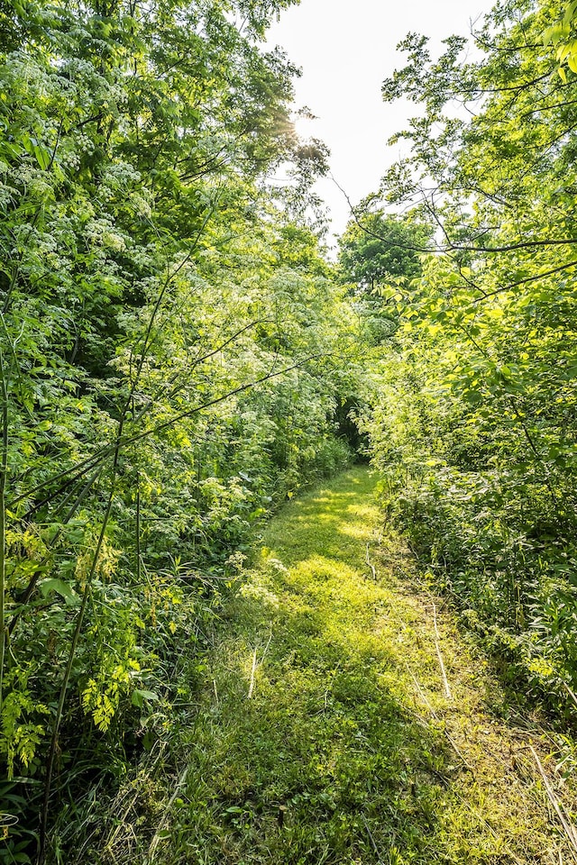 162 Johnstone Trl, Georgetown, KY 40324 - view of nature