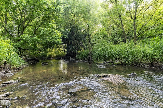 162 Johnstone Trl, Georgetown, KY 40324 - water view featuring a heavily wooded area