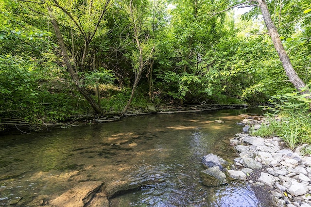 162 Johnstone Trl, Georgetown, KY 40324 - water view featuring a forest