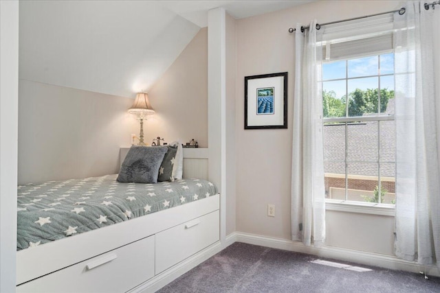 143 Winding View Trl, Georgetown, KY 40324 - bedroom featuring dark carpet and lofted ceiling