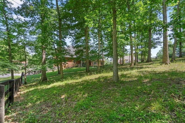 143 Winding View Trl, Georgetown, KY 40324 - view of yard