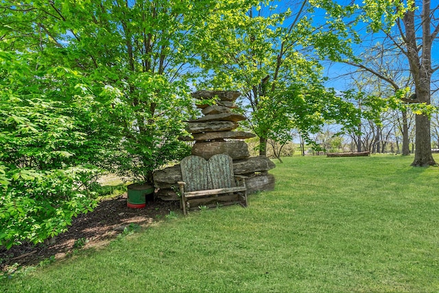 106 Sand Piper Ct, Midway, KY 40347 - view of grassy yard