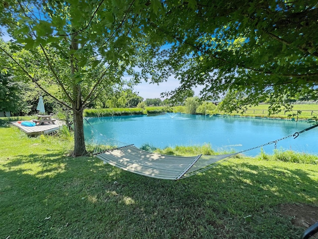 106 Sand Piper Ct, Midway, KY 40347 - water view