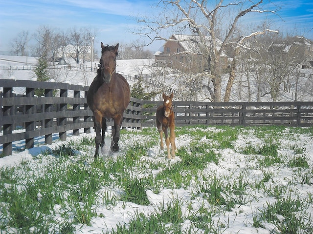 106 Sand Piper Ct, Midway, KY 40347 - view of snowy yard