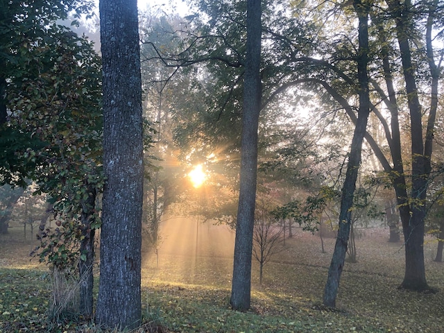 106 Sand Piper Ct, Midway, KY 40347 - view of nature