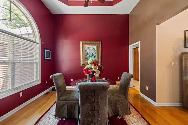 204 Keith Dr, Berea, KY 40403 - dining room with wood finished floors, a ceiling fan, a high ceiling, and baseboards