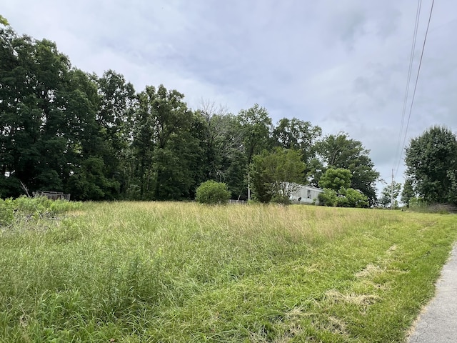 165 Gentry Laswell Rd, Brodhead, KY 40409 - view of local wilderness