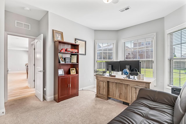 110 Kinglet Pt, Nicholasville, KY 40356 - home office featuring baseboards, healthy amount of natural light, and light colored carpet