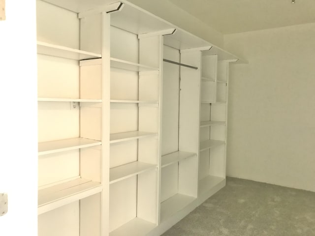 5713 Bybee Rd, Ashland, KY 41102 - spacious closet featuring carpet