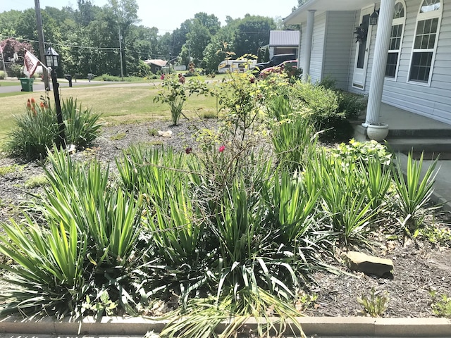 5713 Bybee Rd, Ashland, KY 41102 - view of yard