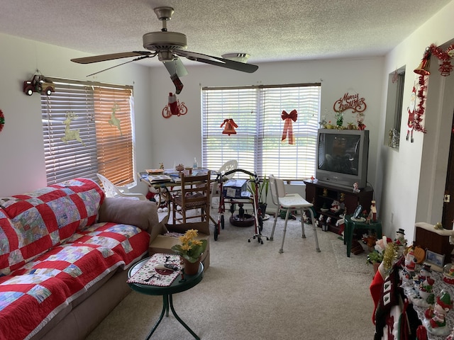 648 Hayes Creek Rd, Strunk, KY 42649 - carpeted living area with ceiling fan and a textured ceiling