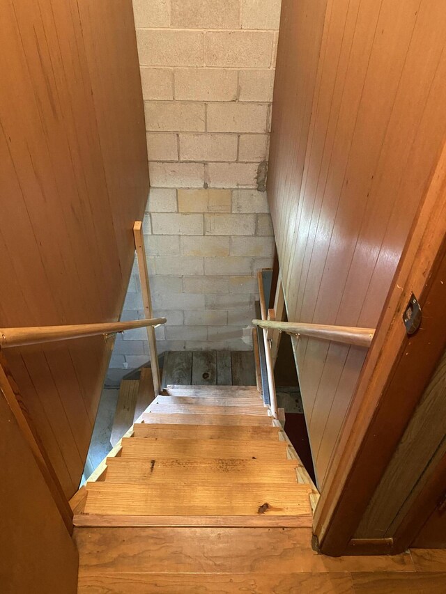 648 Hayes Creek Rd, Strunk, KY 42649 - staircase with wood finished floors and wooden walls