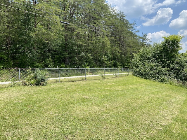 648 Hayes Creek Rd, Strunk, KY 42649 - view of yard