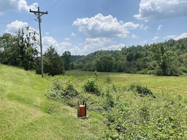 648 Hayes Creek Rd, Strunk, KY 42649 - view of yard featuring a view of trees
