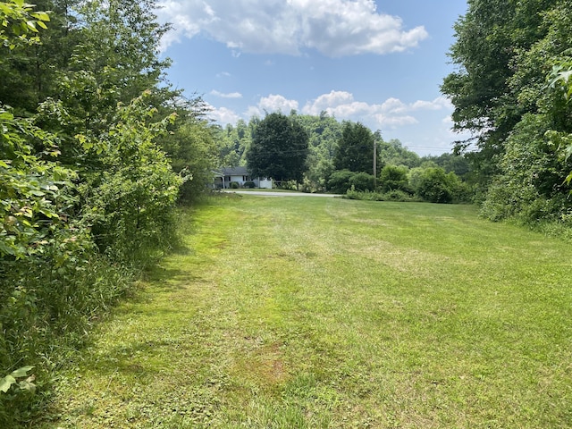 648 Hayes Creek Rd, Strunk, KY 42649 - view of grassy yard featuring a wooded view