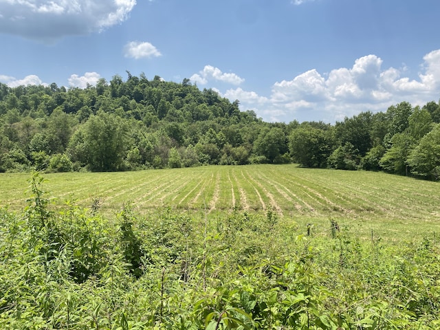 648 Hayes Creek Rd, Strunk, KY 42649 - view of grassy yard with a view of countryside