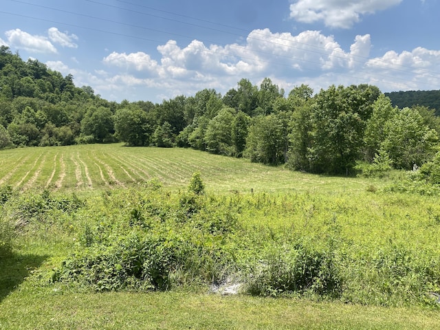 648 Hayes Creek Rd, Strunk, KY 42649 - view of yard featuring a view of rural / pastoral area