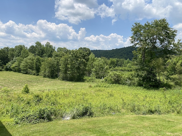 648 Hayes Creek Rd, Strunk, KY 42649 - view of tree filled area