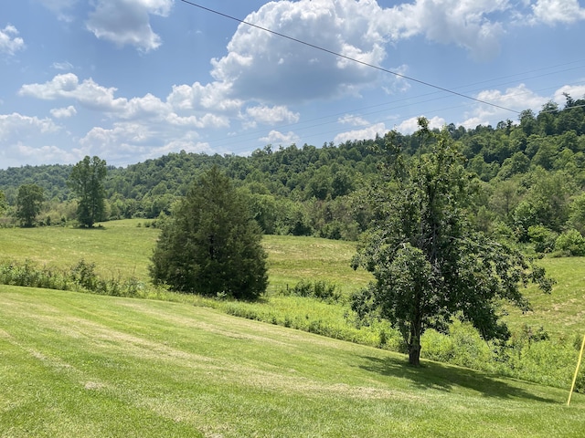 648 Hayes Creek Rd, Strunk, KY 42649 - view of green lawn featuring a view of trees