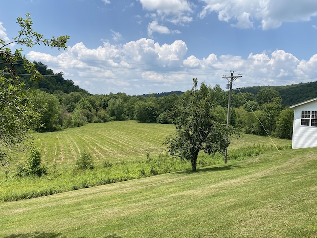 648 Hayes Creek Rd, Strunk, KY 42649 - view of green lawn featuring a view of countryside