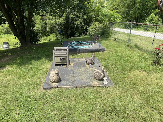 648 Hayes Creek Rd, Strunk, KY 42649 - view of yard