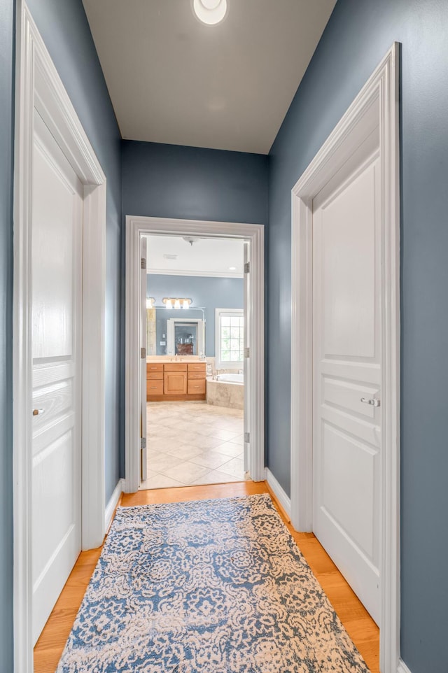 101 Sand Piper Ct, Midway, KY 40347 - hallway featuring light wood-type flooring and baseboards