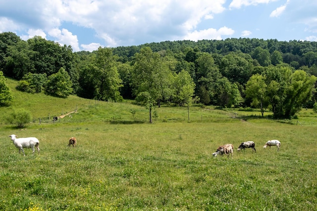 1987 White Rock Rd, Mount Vernon, KY 40456 - view of yard with a view of countryside
