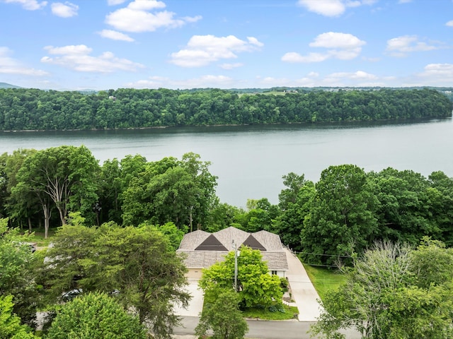 389 Lakeview Dr, Somerset, KY 42503 - water view featuring a forest