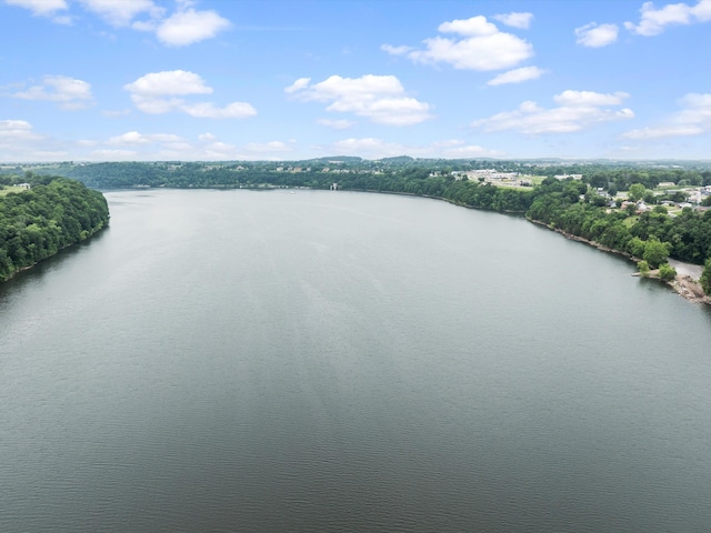 389 Lakeview Dr, Somerset, KY 42503 - aerial view of a large body of water and a heavily wooded area